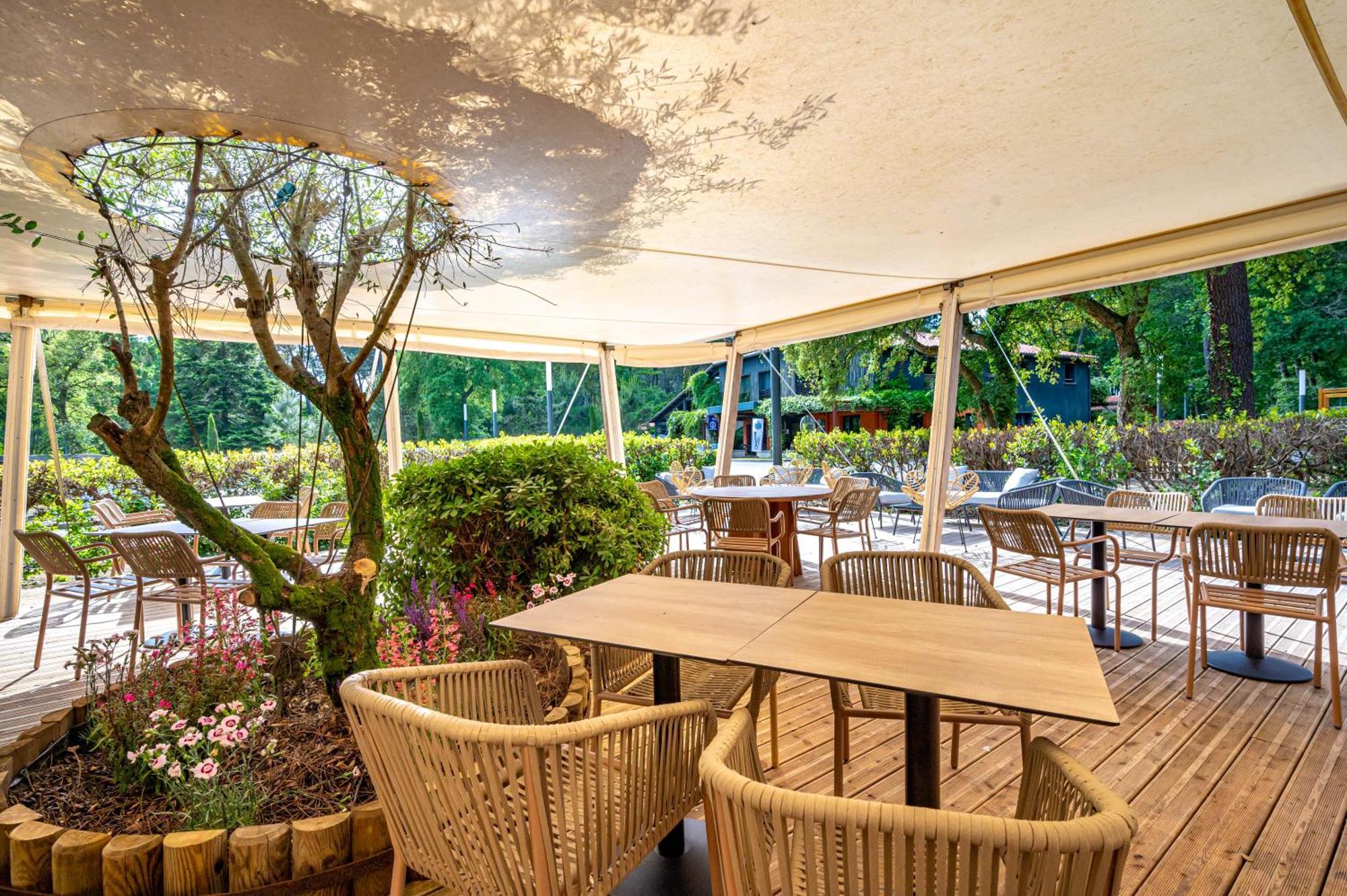 Camping-Village Vacances Les Deux Etangs Seignosse Esterno foto