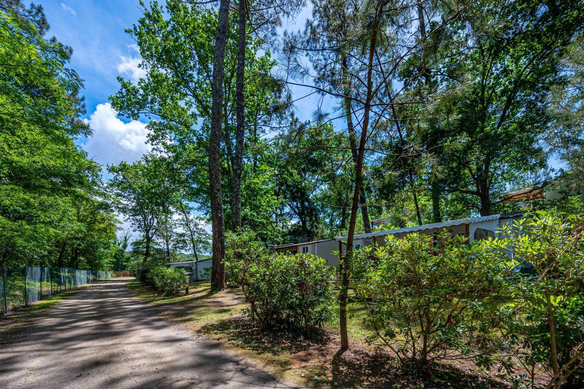 Camping-Village Vacances Les Deux Etangs Seignosse Esterno foto